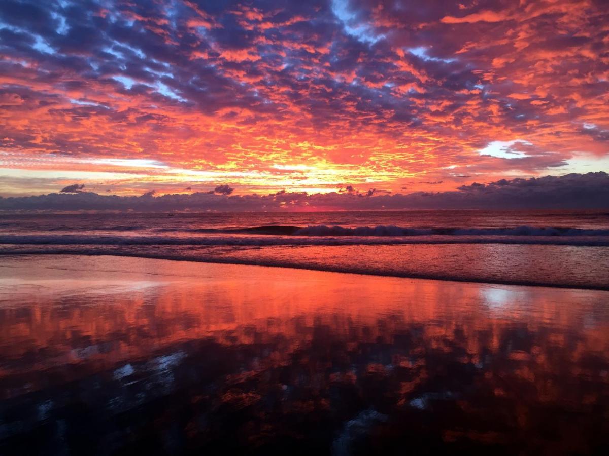 Beachside/ Paradise Best Views Gold Coast Eksteriør bilde